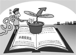 两会落幕，实干起航 法治视角下的青年投资管理新篇章